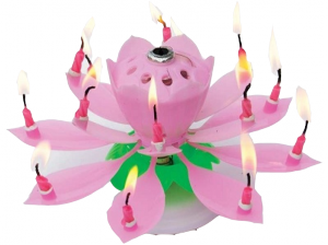 Фонтан-свеча для торта музыкальная вращающаяся "Цветок"